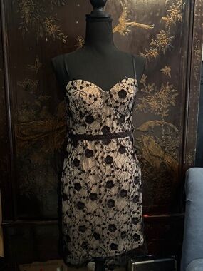 Haute Monde Black Lace Overlay Nude Mini Dress